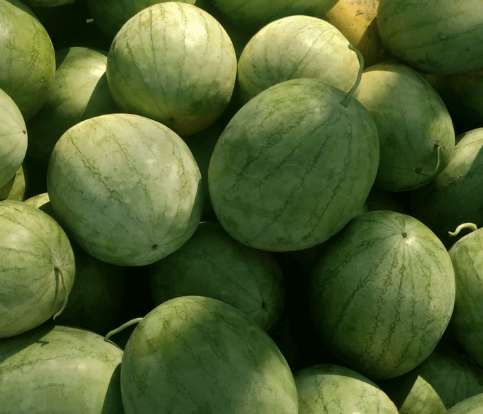 How Saraswati Watermelons Solved Ravi's Summer Woes