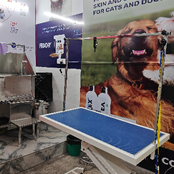 How The Paws Avenue Transforms Pet Grooming for Busy Pet Parents