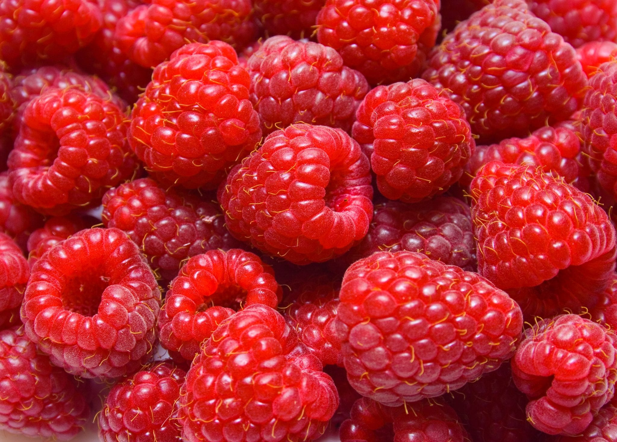 Ravishing Raspberries: A Delightful Solution to Your Health and Taste Buds
