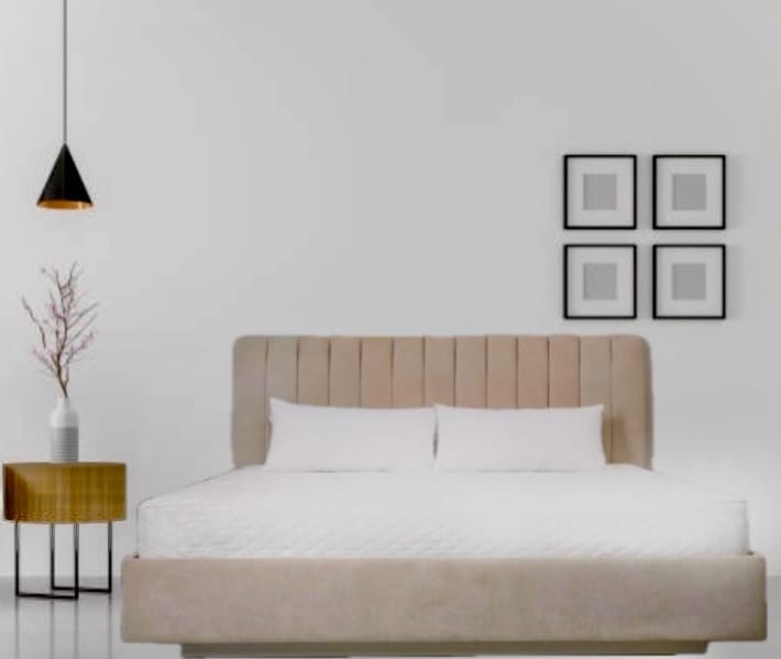 Discover Ultimate Comfort: How Priya Transformed Her Sleep with the 4x6 Bounded HR Foam Mattress