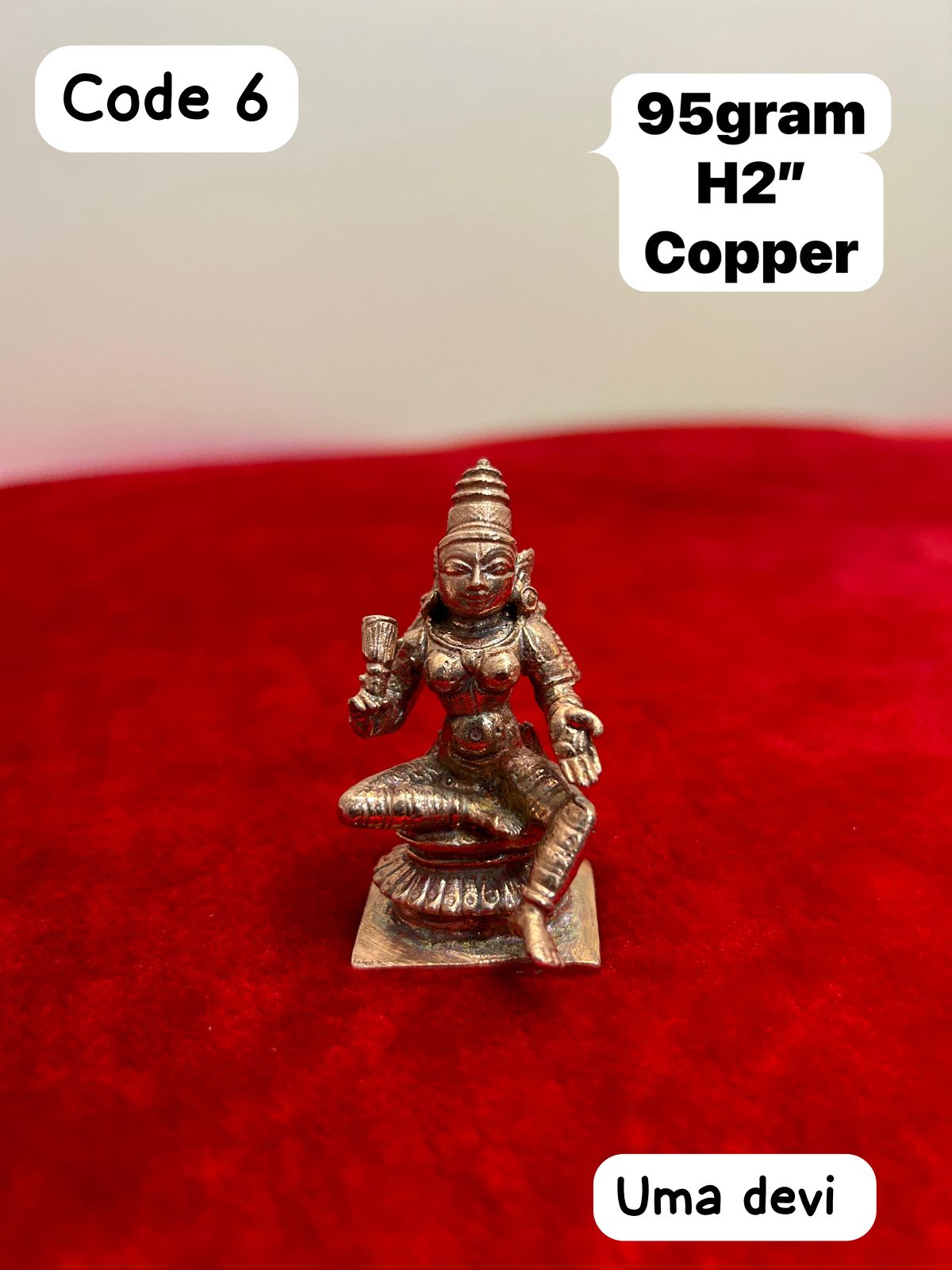 Embracing Divine Grace: How a Copper Idol of Uma Devi Transformed Kavita’s Life