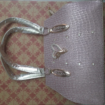 The Perfect Companion: How This Handbag Transformed Anjali’s Daily Routine