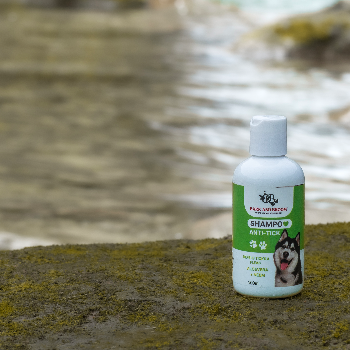 How Bark and Broom’s Anti-Tick Shampoo Saved Raghav’s Furry Friend