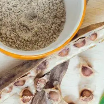 Rediscovering Health: How Muringo Seed Powder Transformed Ananya's Wellness Journey