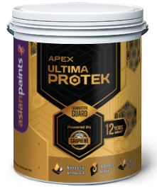 Transform Your Home’s Exterior with Asian Paint Apex Ultima Protek