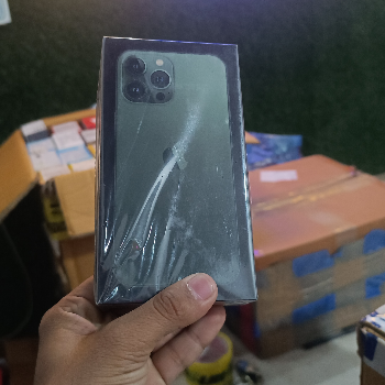 The iPhone 13 Pro: Elevating Lives in the Heart of India