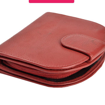 The Perfect Companion: How an Elegant Red Wallet Transformed Priya’s Journey