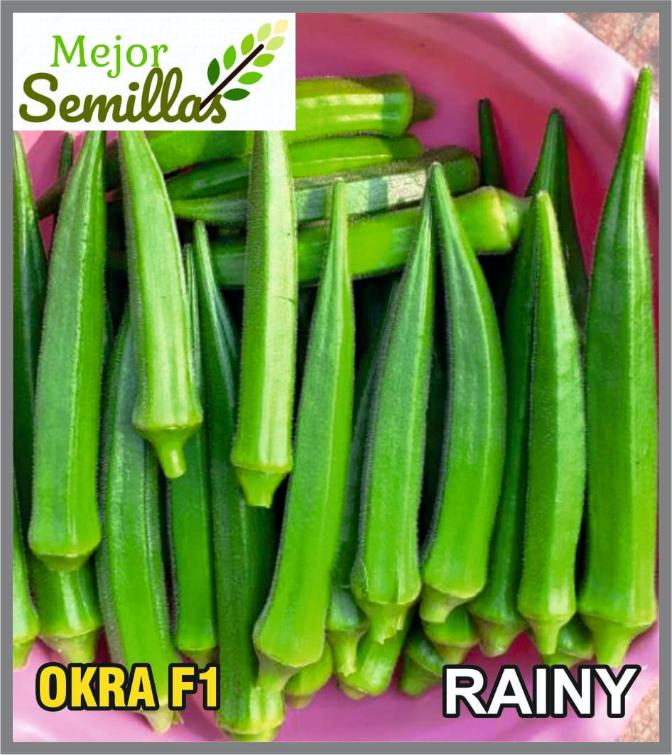 Transforming Indian Agriculture: How Okra Bhindi Rainy F1 is Empowering Farmers