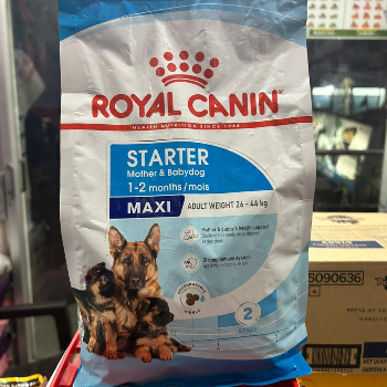 Nurturing New Beginnings: How Royal Canin Starter Food Transforms Mother and Pup Health
