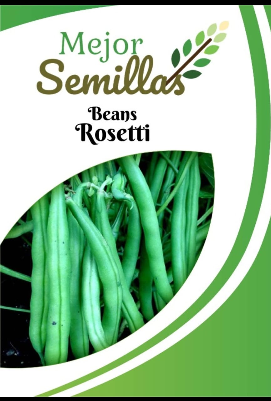 Cultivating Success: How Pole Beans Rosetti Uplifts Indian Farmers