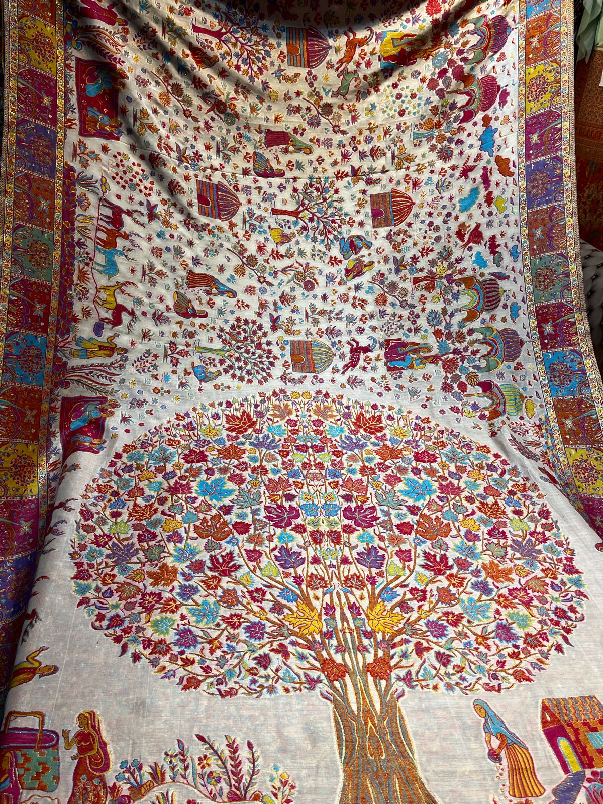 Embrace Elegance with the Pashmina Darbar Saree: A Journey of Timeless Grace