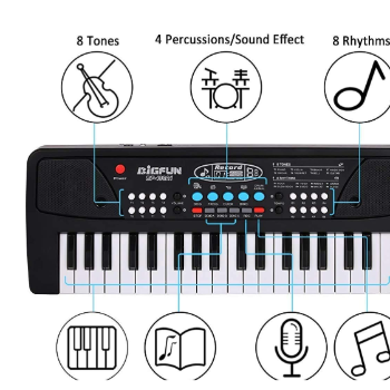 Harmonizing Dreams: How a Simple Toy Keyboard Transformed Aarav's World