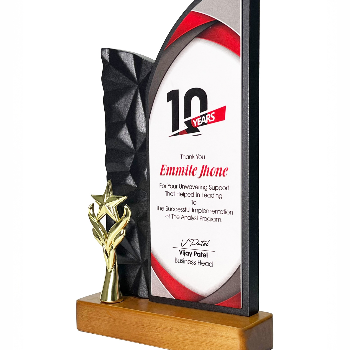 Celebrating Success: How the Wooden Trophy with Star Elevates Achievements