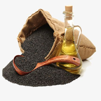 Rediscovering Tradition: How Sesame Oil Transformed Anjali's Culinary Journey