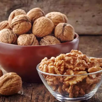 The Nutty Solution: How Walnuts Transformed Priya's Lifestyle