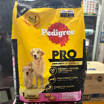 Pampered Paws: How Pedigree Transformed Rohan's Canine Companion