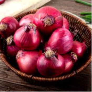 Unpeeling the Layers: How Quality Onions Transform Lives in Indian Kitchens