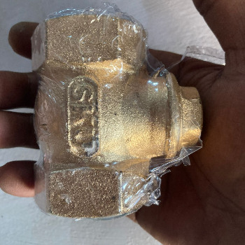 Empowering Efficiency: How Check Valves Transform Industrial Operations
