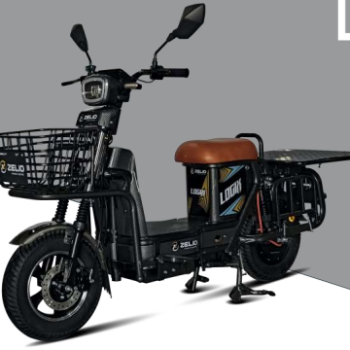 Empowering Journeys: How Zelio Logix Electric Scooter Changed Radhika’s Life