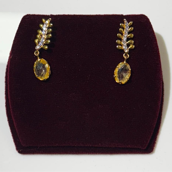 Unveiling Elegance: How Color Spine Earrings Transform Lives