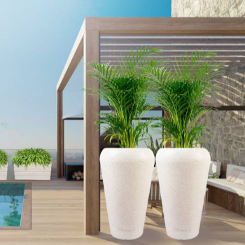 Transforming Spaces: How Fiber Plants Revolutionize Your Home and Office Environment