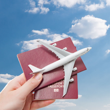 Elevate Your Travel Experience: The Solution to Stress-Free Flight Bookings