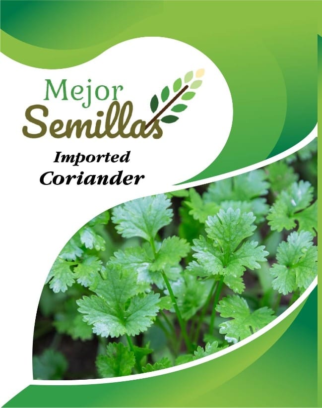 Unlocking Success in Indian Kitchens with Sourav Coriander Seeds