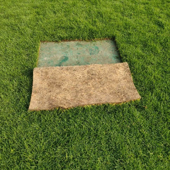 Transform Your Outdoor Space with Lush Lawn Grass: A Story of Renewal