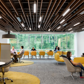 Transforming Spaces: How Artistic Ceilings Solved Meera's Design Dilemma