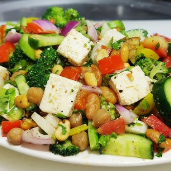 Transform Your Health: How One High-Protein Salad Solved Meera's Wellness Woes