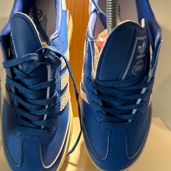 Stepping Up Your Sneaker Game: Meet Rahul, the Sneaker Enthusiast