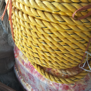 From Farm to Field: How a Simple Rope Transformed Bhavna's Agricultural Business