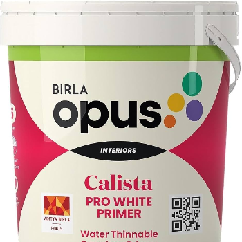 Transform Your Spaces: The Power of Birla Opus Calista Pro White Primer