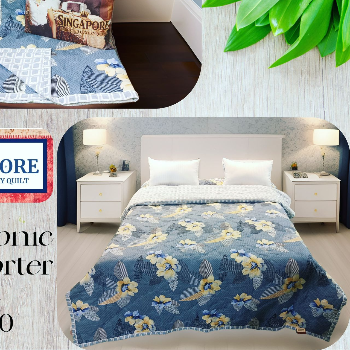 Embrace Comfort and Warmth: The Story of Anita's Cozy Nights