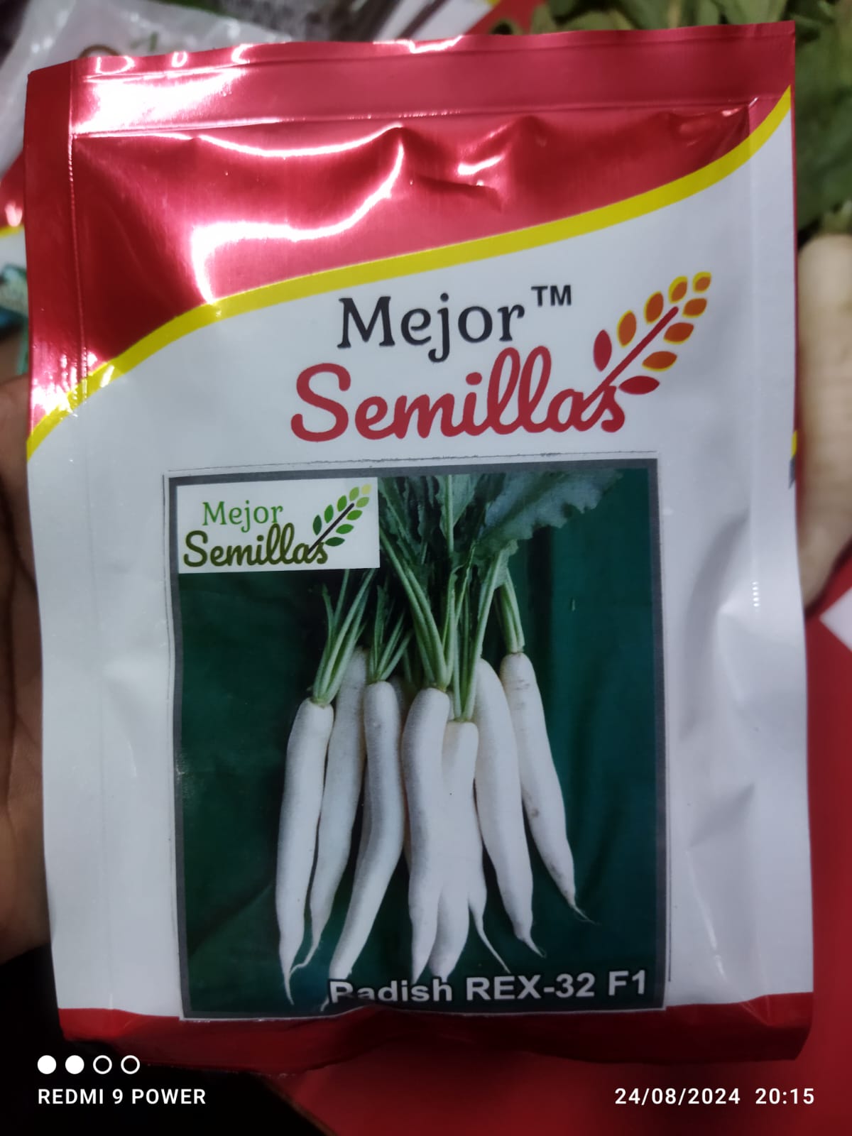 Radish Rex 32 F1: Empowering Indian Farmers with Bountiful Harvests