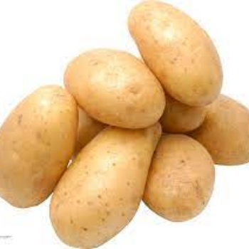 Solving the Great Potato Dilemma: How Our Product Transforms Farming in Agra
