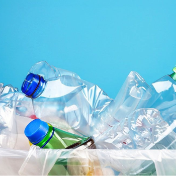 Transforming Waste into Wealth: How Bhangarwalaa Solves Your Plastic Problems