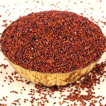 Embracing Health: How Ragulu Finger Millet Transformed Priya's Life