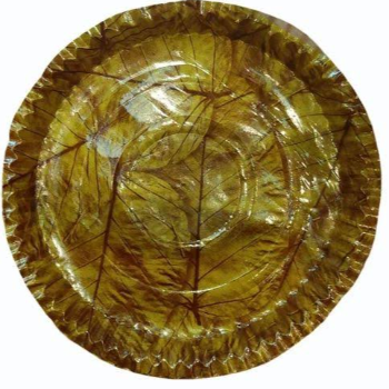 A Greener Tomorrow: How Salpatta Paper Plates are Transforming Lives
