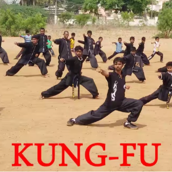 Transforming Business Operations: How Kung-Fu Empowers Small Entrepreneurs