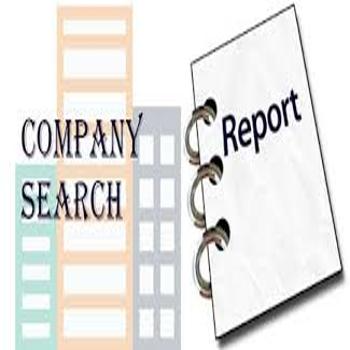 How ROC Search Reports Simplify the Loan Process for Indian Entrepreneurs