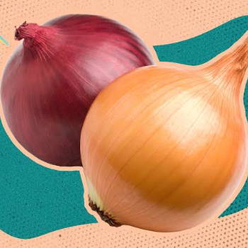 How Onions Became the Secret Ingredient to Rekha's Culinary Success
