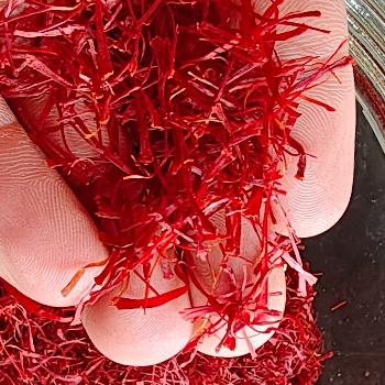 The Golden Spice: How Saffron Transformed Riya’s Culinary Journey