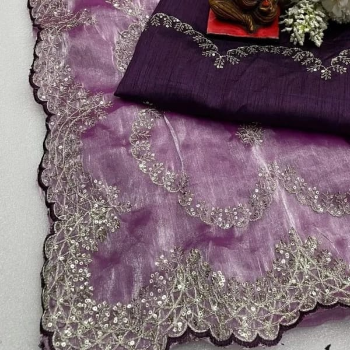 Embracing Tradition with Modern Elegance: A Saree Story