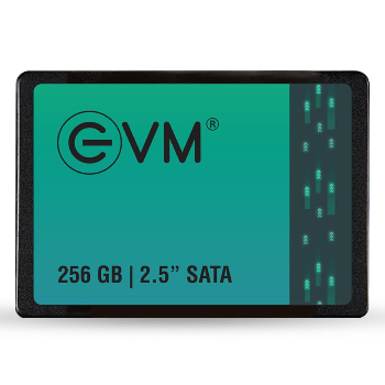 SAI SYSTEMS AND SOLUTION - Transform Your Tech Experience: The Power of EVM 256GB SATA SSD in Satara