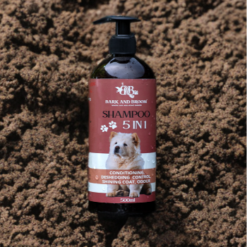 BARK AND BROOM - How Bark and Broom 5-in-1 Dog Shampoo Transformed Riya's Life with Bruno in Haldwani