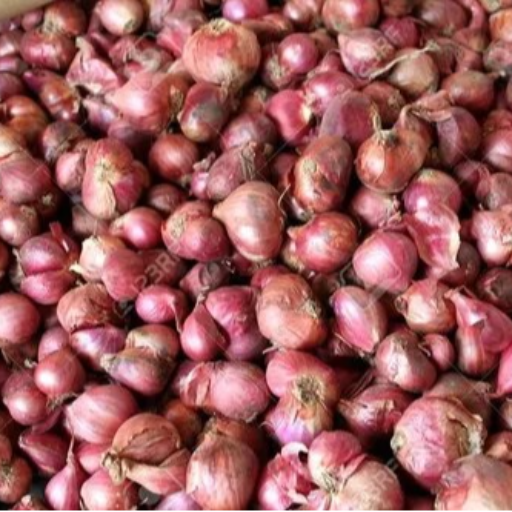 How Small Onions are Revolutionizing Indian Kitchens