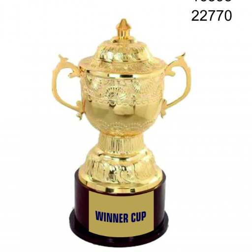 VIJAY TROPHIES - Celebrating Every Victory: The Perfect Sports Cup for Every Occasion in Ahmedabad