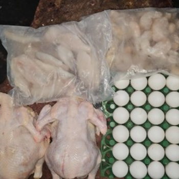 VSN VENCOBB CHICKEN CENTER - A Culinary Delight: How Vencobb Chicken Transforms Mealtime for Busy Families in Madanapalle