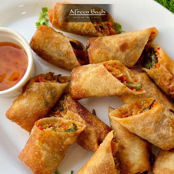 AFREEN BAGH - How Veg Spring Rolls Solved Aarti's Busy Work-Life Dilemma in Jaipur